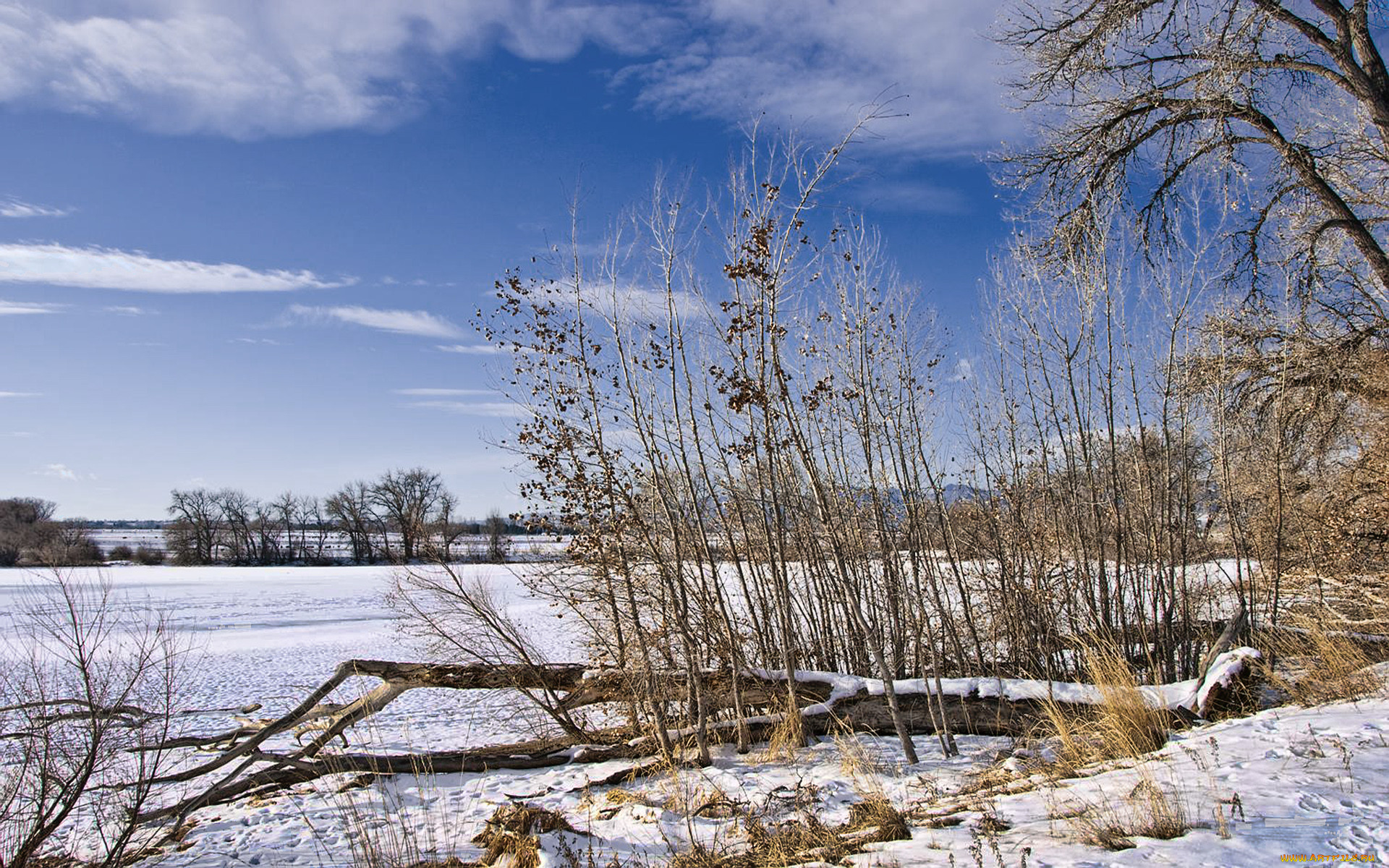 colorado, snowfield, , , , , 